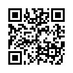 GEC19DREI-S13 QRCode