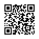 H-030-38106 QRCode