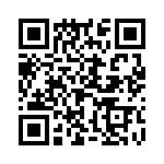 H-300-2-580 QRCode