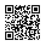 H-38-1 QRCode