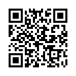 H410505A0000G QRCode