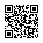 H419505A0000G QRCode