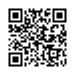 H419505B0000G QRCode