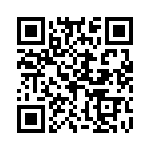 H423705B0000G QRCode