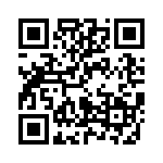 H50250500000G QRCode