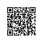 HDWM-12-01-G-D-250 QRCode