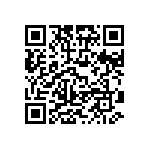 HE30800T1304PB7M QRCode