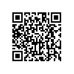 HE30806T1304PC6M QRCode