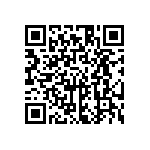 HE30806T1335PC6M QRCode