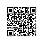 HE30807T1304PB6M QRCode