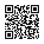 HKQ0603W33NJ-T QRCode