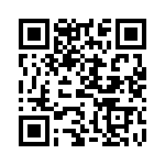 HS10-R33-J QRCode