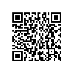 IEG66666-29496-1-V QRCode