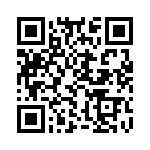 K3241250A000G QRCode