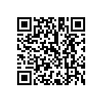 K333Z10Y5VF5TH5 QRCode