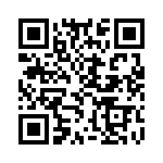 K3421251A000G QRCode