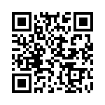 K3691251A000G QRCode