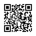 KJB6T13J98AC QRCode