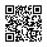 KJL3T11B35PAL QRCode