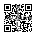 KJL3T13N4PC QRCode