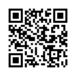 KJL6T13B35PA QRCode