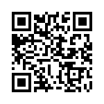 KJL6T17N6PAL QRCode