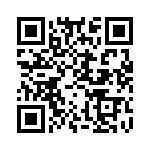 KP1301500000G QRCode