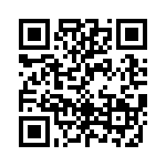 KV1950530000G QRCode