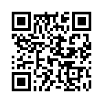L17D4J38101 QRCode