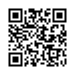 L17DM53742233 QRCode