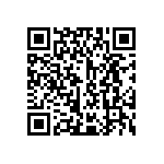 L17DM53744207C309 QRCode