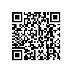 L17DM537447C309 QRCode