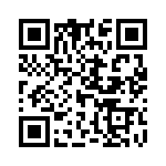 L17H1330113 QRCode