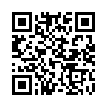 L17TF0900104 QRCode