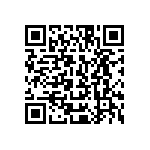 L1Q0-2780000001100 QRCode