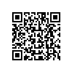 L1Q0-3080000001100 QRCode