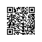 L1Q0-4070000001300 QRCode