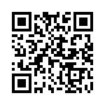 L203111TS03B QRCode