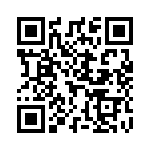 L25S010-T QRCode