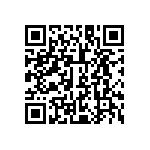 L2C2-30701204E1300 QRCode