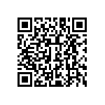 L2C2-50701204E1300 QRCode