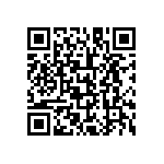 L2C3-3090105E06000 QRCode