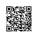 L2C5-30801205E1300 QRCode