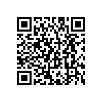 LC4256B-10FTN256BI QRCode