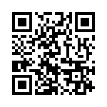 LDIN30 QRCode