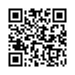 LEB100F-0536 QRCode