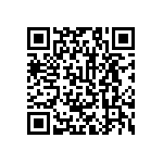 LFG480302PQDINR QRCode