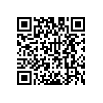 LM536013QDSXTQ1 QRCode