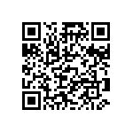 LT300014T261K0J QRCode