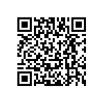 LZ1-30NW00-P040 QRCode